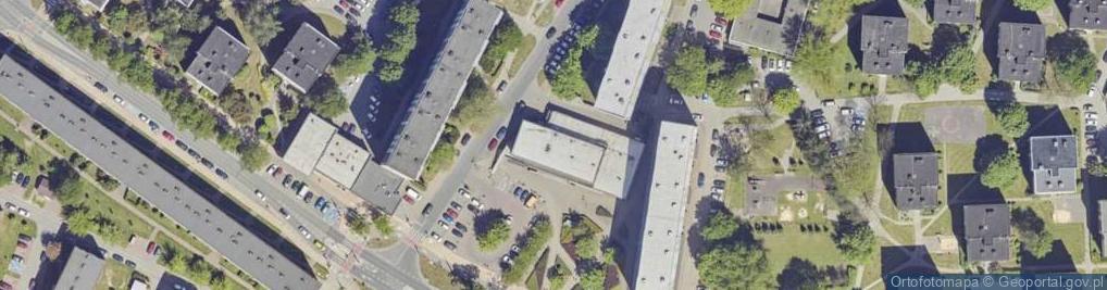 Zdjęcie satelitarne Lidia Niemiec - Działalność Gospodarcza