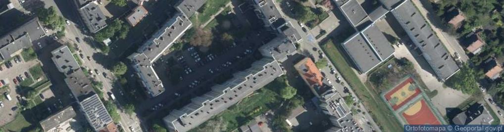 Zdjęcie satelitarne Lipińska Leśna Pszczoła