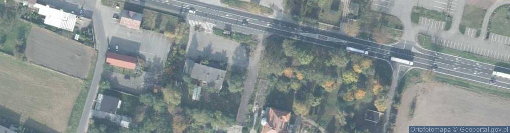 Zdjęcie satelitarne Lizard