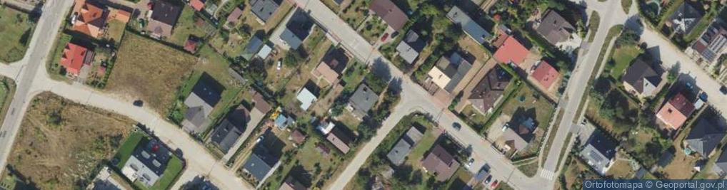 Zdjęcie satelitarne Loewenau Michał Goldmirk-Złotnik-Jubiler