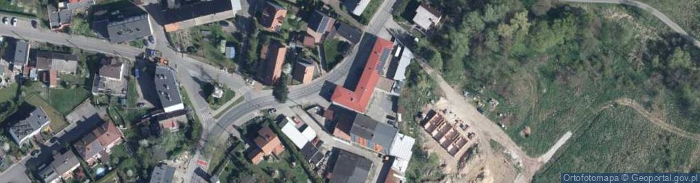 Zdjęcie satelitarne Lokalna