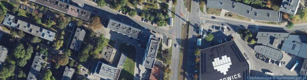 Zdjęcie satelitarne Looksus Lashes Patrycja Stanik