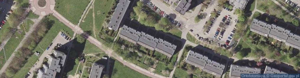Zdjęcie satelitarne Lucyna Śnieg - Działalność Gospodarcza