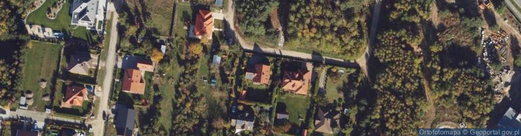 Zdjęcie satelitarne Lutowski Zbigniew Longin Tupus