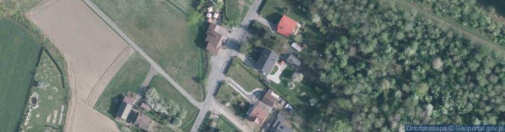 Zdjęcie satelitarne Łysek Kazimierz Malarstwo - Tapeciarstwo