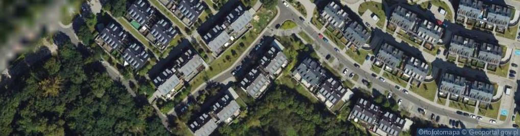 Zdjęcie satelitarne Magdalena Wądołowska
