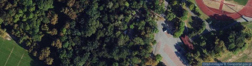 Zdjęcie satelitarne Magnolia