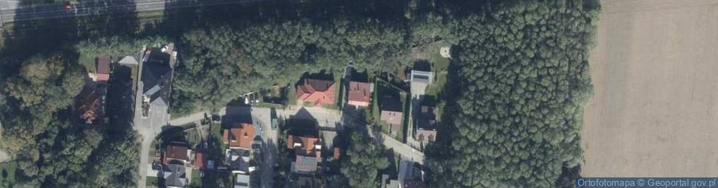 Zdjęcie satelitarne Malarstwo Tapeciarstwo Krzysztof Józefiak Krzemieniewo