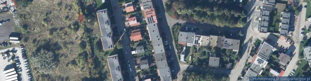 Zdjęcie satelitarne Malarstwo Tapeciarstwo Tadeusz Prałat