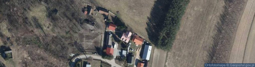 Zdjęcie satelitarne Małgorzata Banaś F.H.Zico