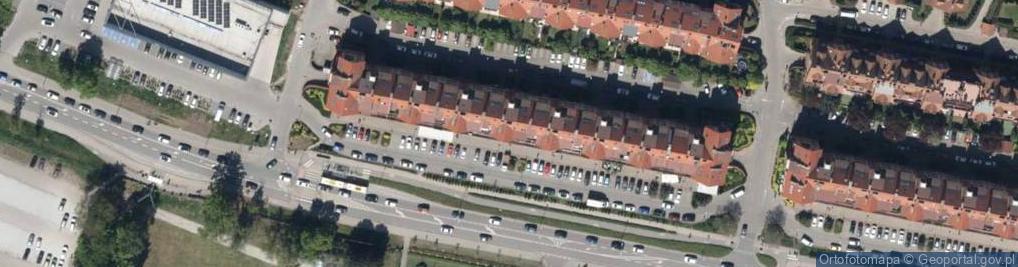 Zdjęcie satelitarne Małgorzata Protasewicz-Nowicka