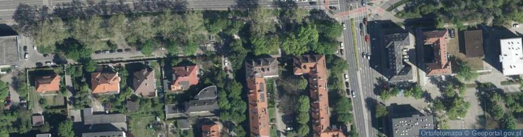 Zdjęcie satelitarne Malowanie Artystyczne Rena