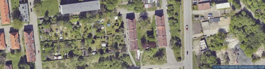 Zdjęcie satelitarne Manuela Koloch Piotr Koloch