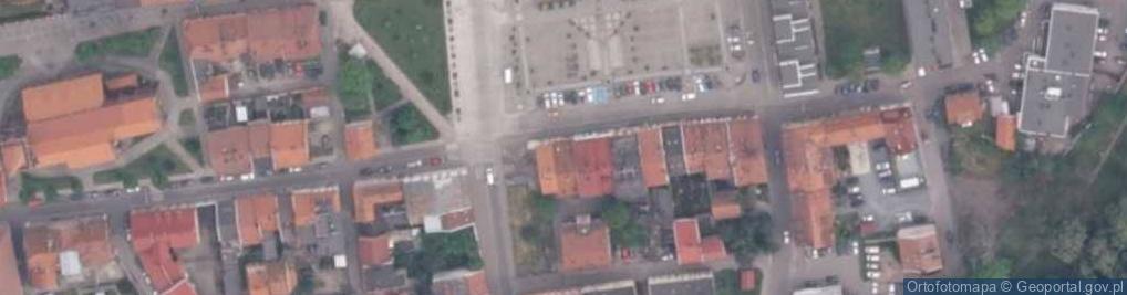 Zdjęcie satelitarne Maria Kotarska - Działalność Gospodarcza