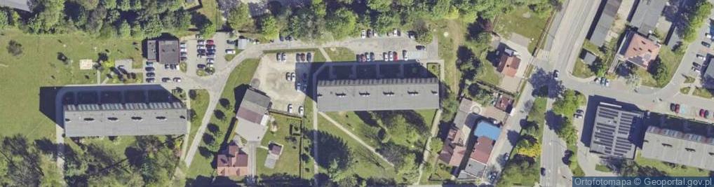 Zdjęcie satelitarne Maria Rerich - Działalność Gospodarcza