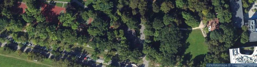 Zdjęcie satelitarne Marianna Cholewa