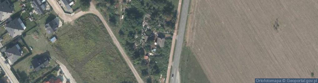 Zdjęcie satelitarne Marina Januszkiewicz