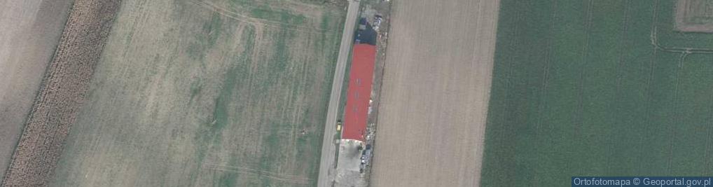 Zdjęcie satelitarne Mariusz Niedźwiecki - Działalność Gospodarcza