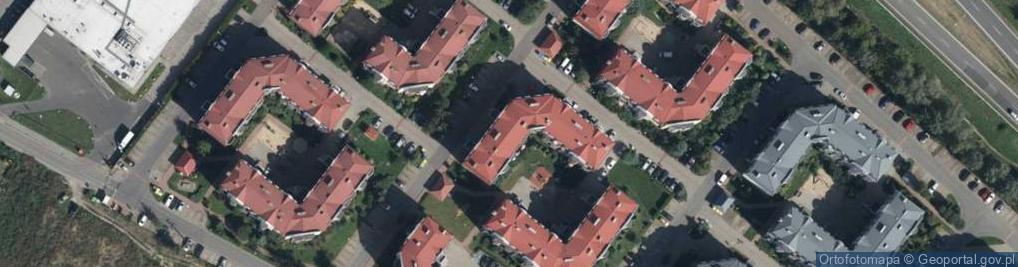 Zdjęcie satelitarne Mariusz Niegowski