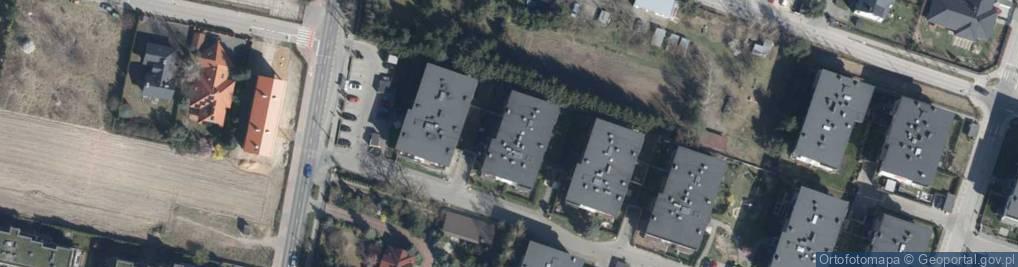 Zdjęcie satelitarne Marjorie