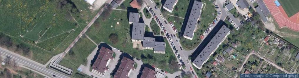 Zdjęcie satelitarne Martex Sylwia Witkowska Marcin Witkowski
