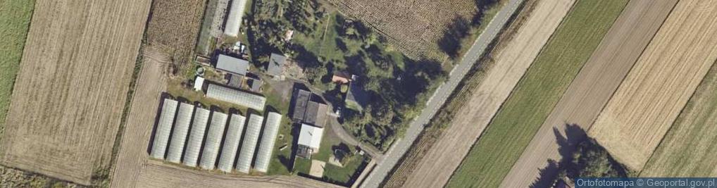 Zdjęcie satelitarne Martyna Bombas Hybryda