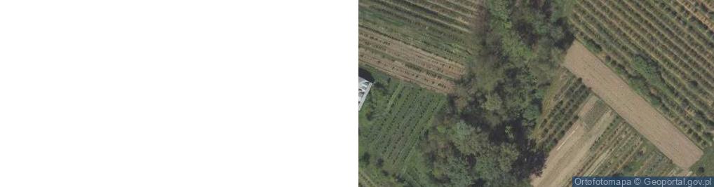 Zdjęcie satelitarne Martysia