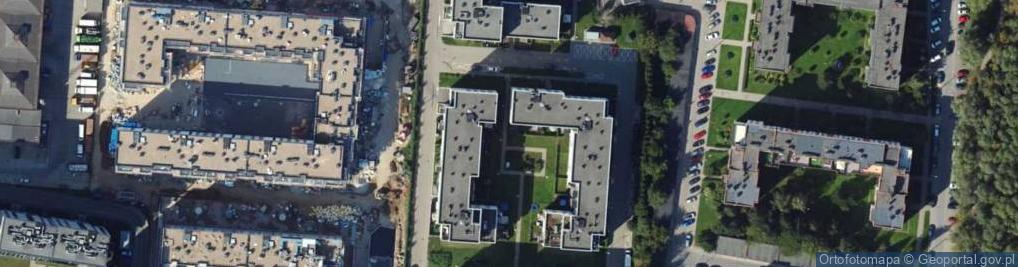 Zdjęcie satelitarne Marzena Chmiel Big City Lights