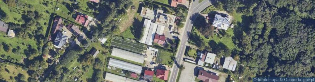 Zdjęcie satelitarne Mateusz Burek Platan