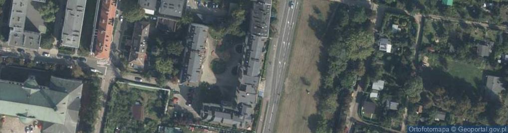 Zdjęcie satelitarne Medieval Treasures Jadwiga Hołowiecka