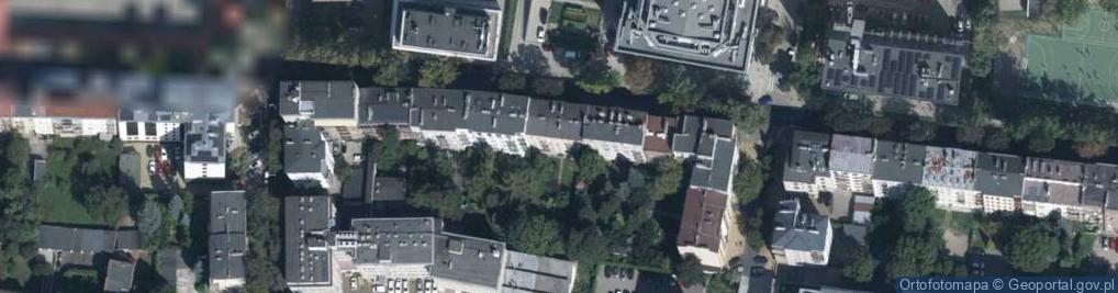 Zdjęcie satelitarne Meritum