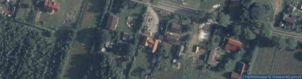 Zdjęcie satelitarne Metamorfoza Katarzyna Majewska