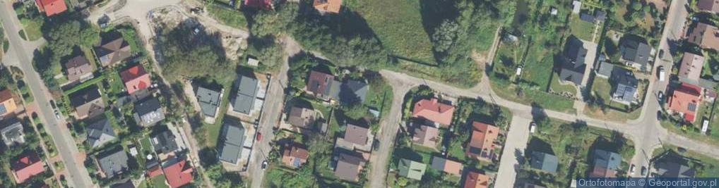 Zdjęcie satelitarne Mgła