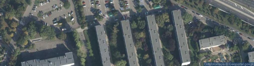 Zdjęcie satelitarne Michael