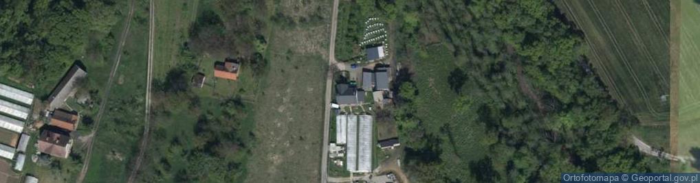 Zdjęcie satelitarne Michał Bieliński - lemonline.pl