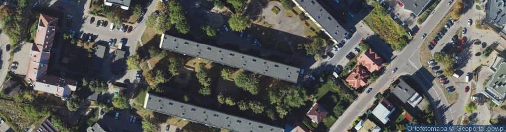 Zdjęcie satelitarne Michał Choruży - Działalność Gospodarcza