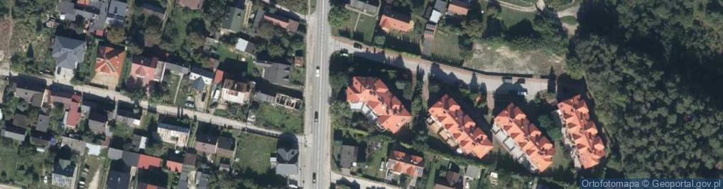 Zdjęcie satelitarne Michał Wach Wspólnik Spółki Cywilnej Mad Mosquito