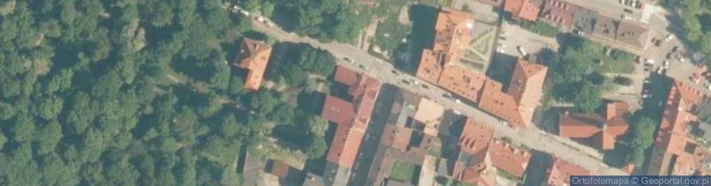 Zdjęcie satelitarne Michalina Mleczko - Działalność Gospodarcza