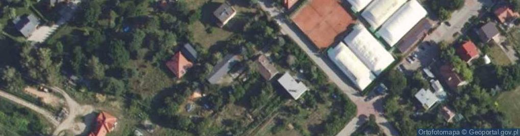 Zdjęcie satelitarne Mimoza - Monika Stefaniak