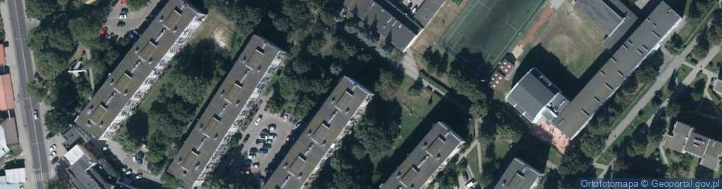 Zdjęcie satelitarne Mirosława Borkowska - Działalność Gospodarcza