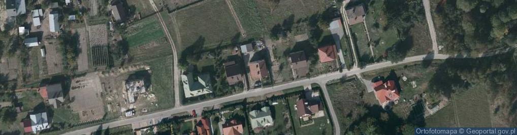 Zdjęcie satelitarne Miś