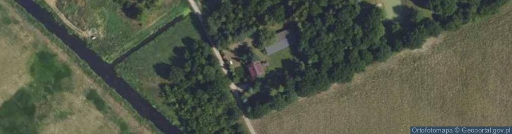 Zdjęcie satelitarne Modrzew