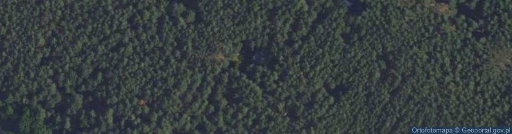 Zdjęcie satelitarne Moje Laleczki - Hodowla Kotów Rasy Ragdoll