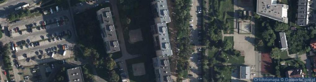 Zdjęcie satelitarne Monica