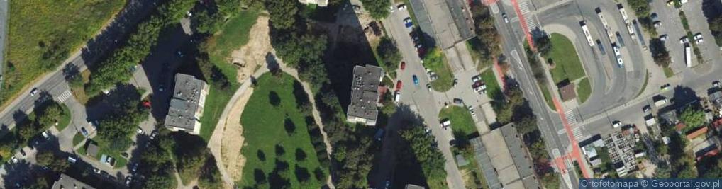 Zdjęcie satelitarne Monika Rojczyk Karibe