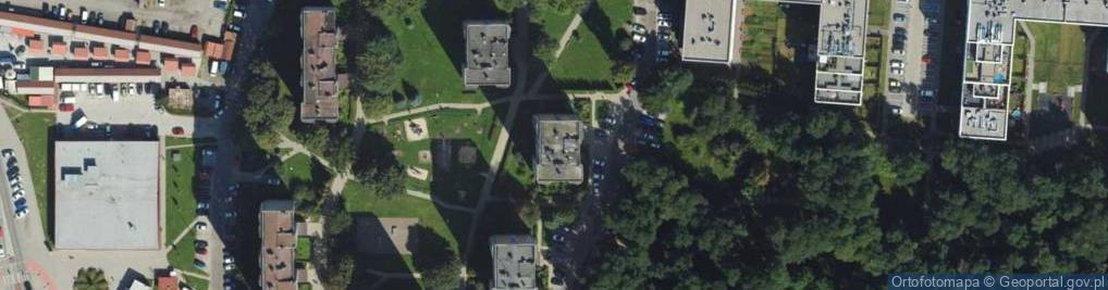 Zdjęcie satelitarne Monika Wątroba