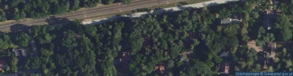 Zdjęcie satelitarne Monika Wrona Dysleksja Kontrolowana Gabinet Edukacyjny