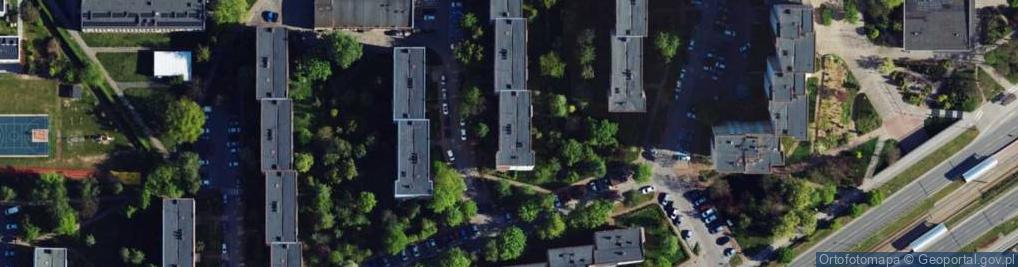 Zdjęcie satelitarne Morfizm Stowarzyszenie Twórców Sztuki Nowej Idei