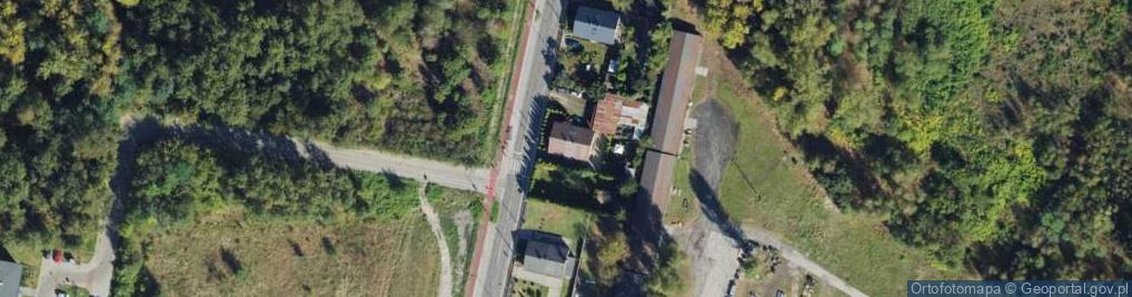 Zdjęcie satelitarne Morus