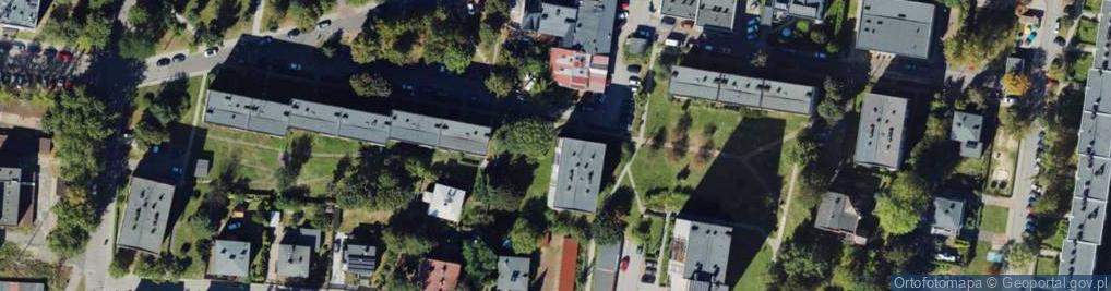 Zdjęcie satelitarne MPR Terra Aleksander Matwiejszyn